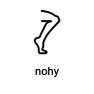 nohy